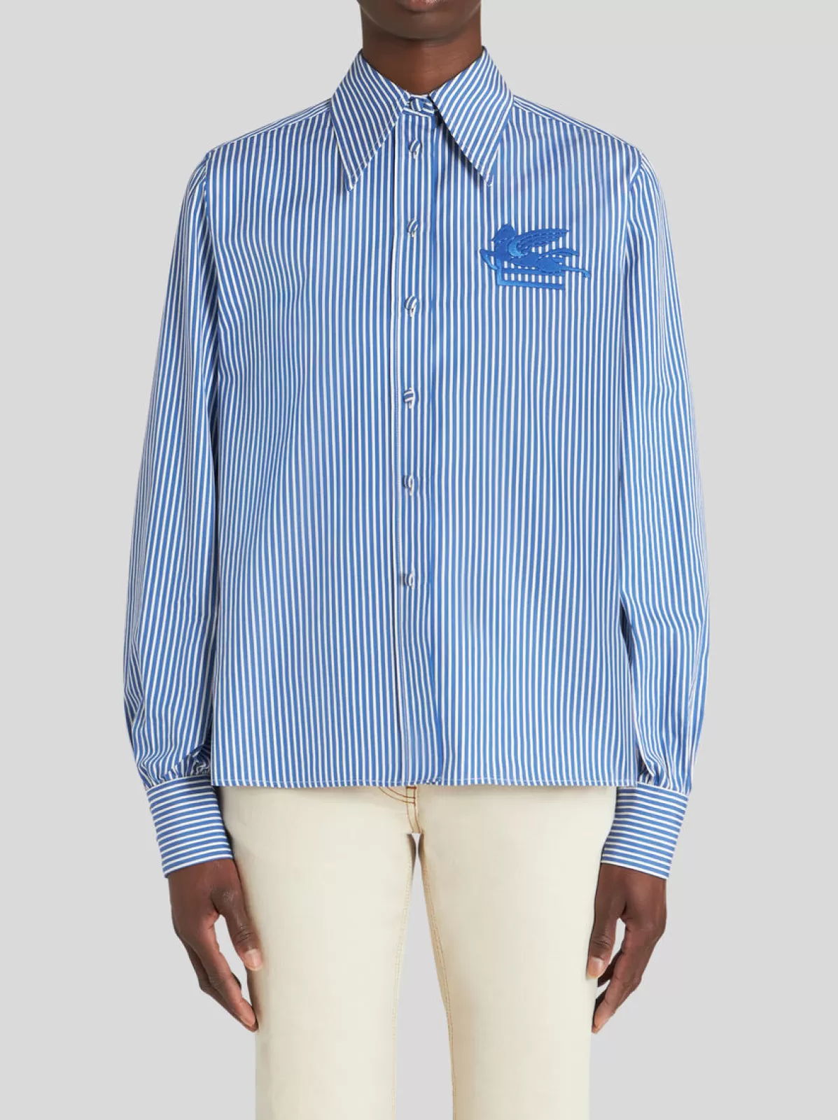 Donna Etro Camicia A Righe Con Logo | Donna | Blu |