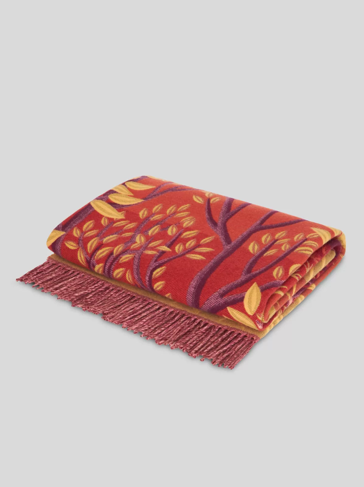 Etro PLAID AMY LINCOLN PER (135 X 165 Cm) |