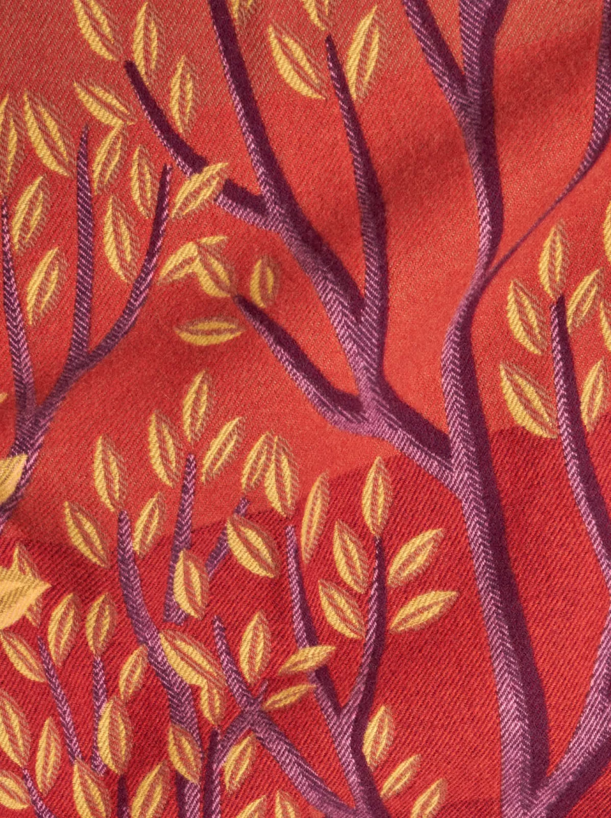 Etro PLAID AMY LINCOLN PER (135 X 165 Cm) |