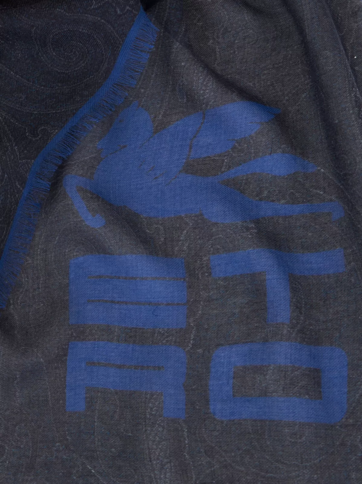 Uomo Etro Sciarpa Paisley Misto Cachemire E Logo CUBE | Uomo |
