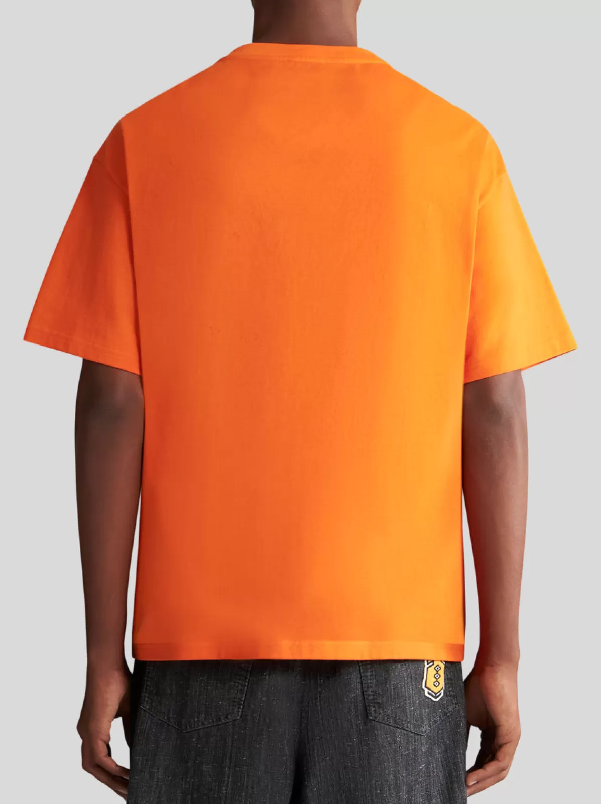 Uomo Etro T-SHIRT CON STAMPA ALLEGORIA TENACITÀ |