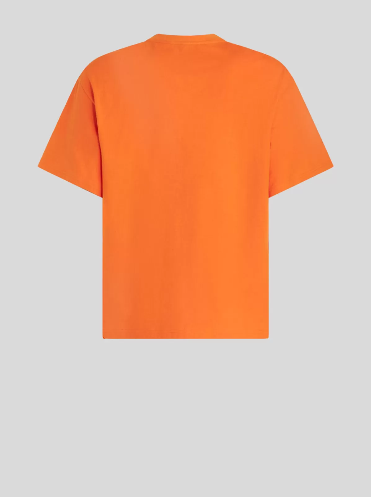 Uomo Etro T-SHIRT CON STAMPA ALLEGORIA TENACITÀ |