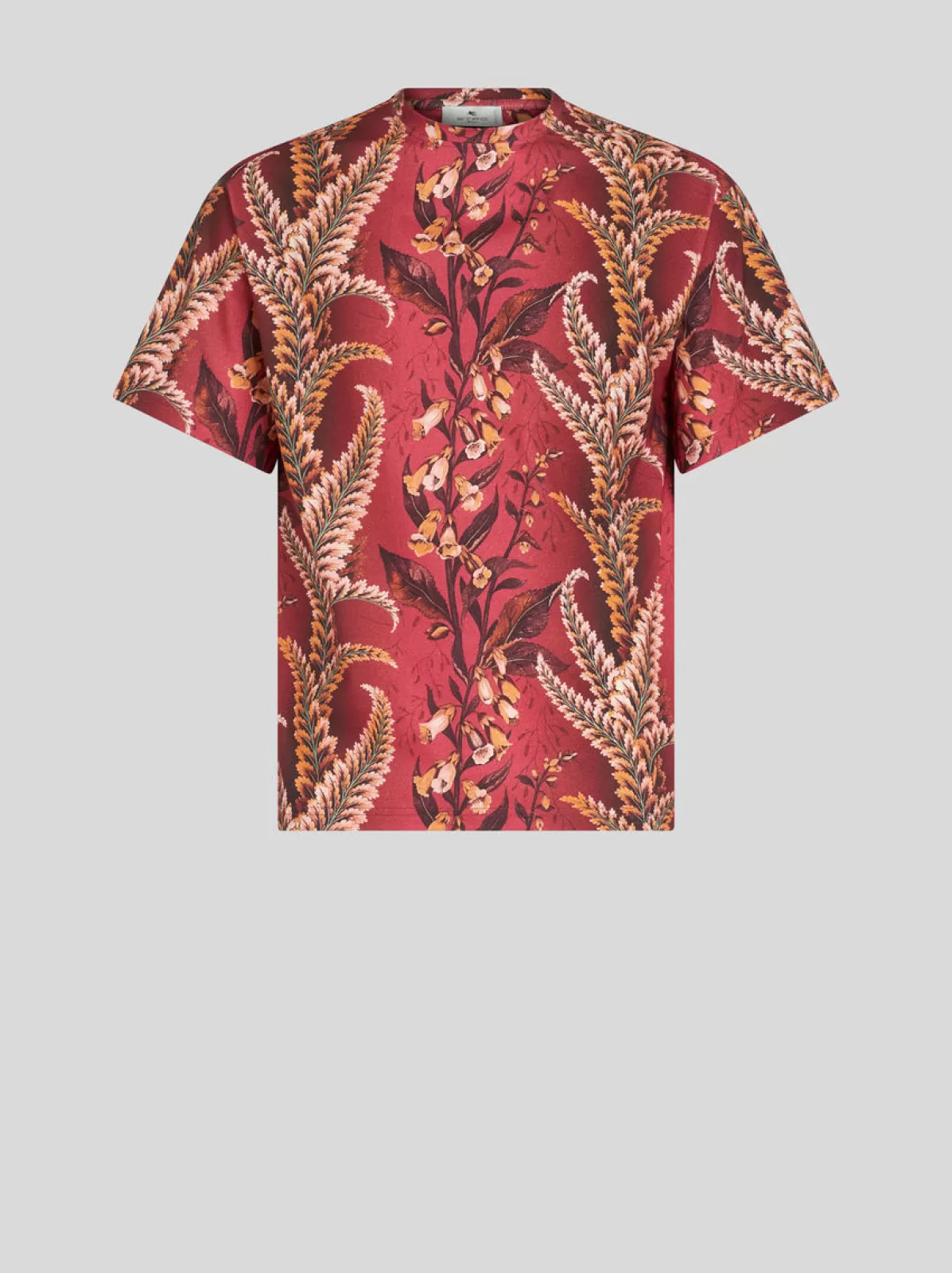 Uomo Etro T-SHIRT CON STAMPA FOLIAGE |