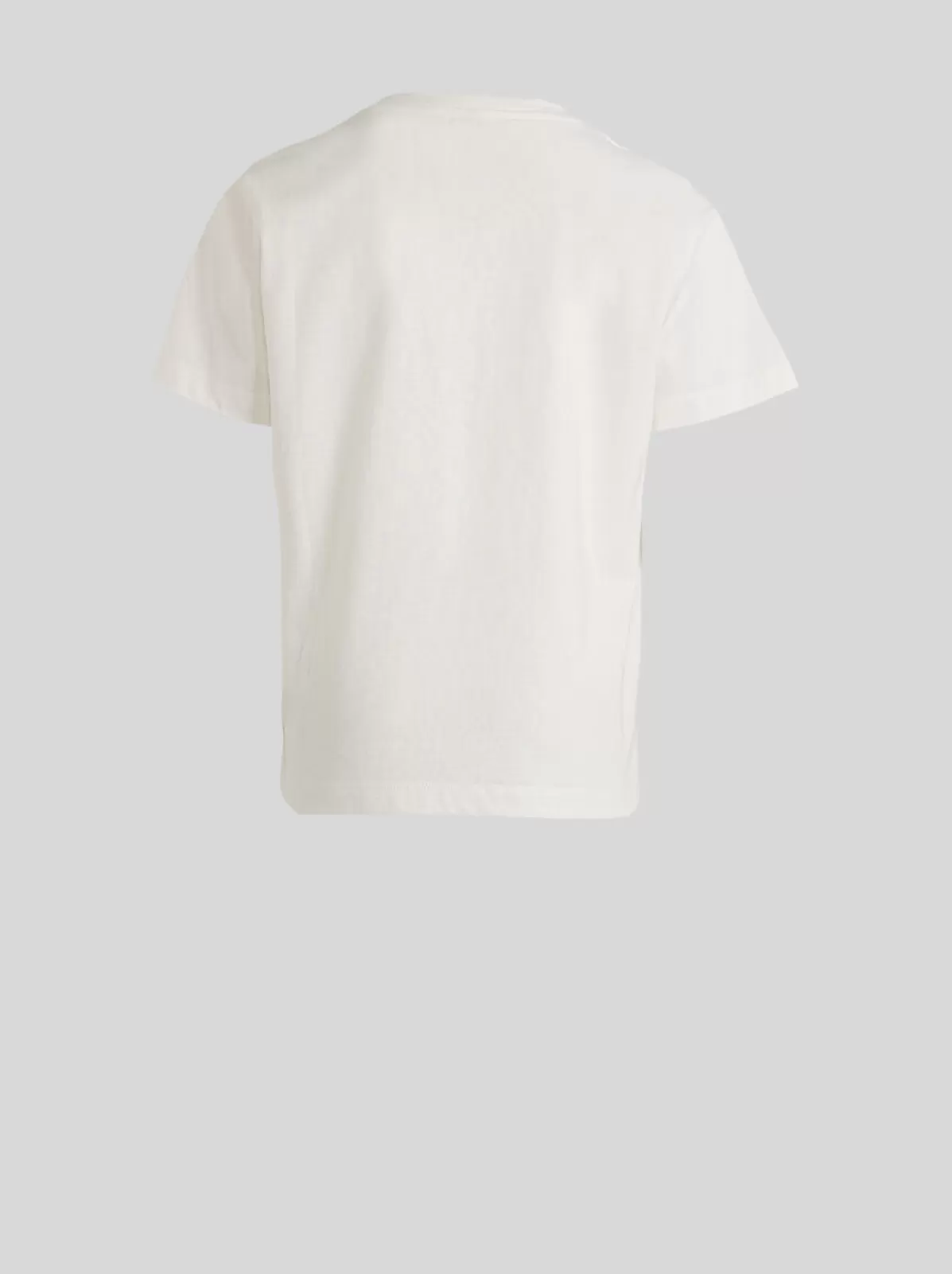 Bambino Etro T-SHIRTS CON GHIRLANDA FLOREALE RICAMATA E PEGASO PER BAMBINI |